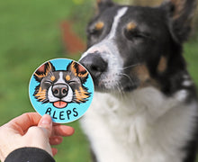 Load image into Gallery viewer, Border Collie Sticker Set