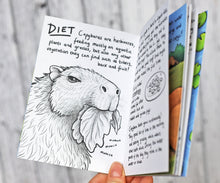 Load image into Gallery viewer, The Mini Guide to Capybaras