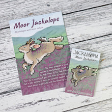 Load image into Gallery viewer, Jackalopia Hard Enamel Pins - Full Set of 12