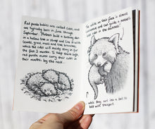 Load image into Gallery viewer, The Mini Guide to Red Pandas ~  50p goes to Red Panda Network!