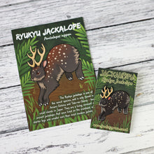 Load image into Gallery viewer, Ryukyu Jackalope Hard Enamel Pin