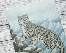 Load image into Gallery viewer, Snow Leopard Illustration A4 Print