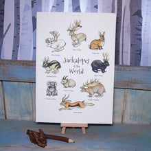 Load image into Gallery viewer, Jackalopia Zine Bundle