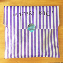 Load image into Gallery viewer, Seconds Sale Mystery Tote Bag ~ Half usual price!