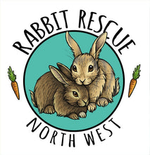 Load image into Gallery viewer, Rabbit Christmas Card 8 Pack ~ £1 goes to Rabbit Rescue North West