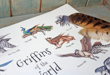 Load image into Gallery viewer, Griffins of the World A4 Print
