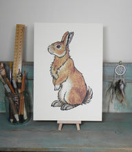 Load image into Gallery viewer, Bran the Bunny ~ Rabbit Illustration A4 Print