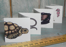 Load image into Gallery viewer, The Tiny Book of Tiny Animals