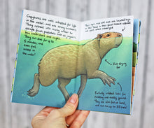 Load image into Gallery viewer, The Mini Guide to Capybaras
