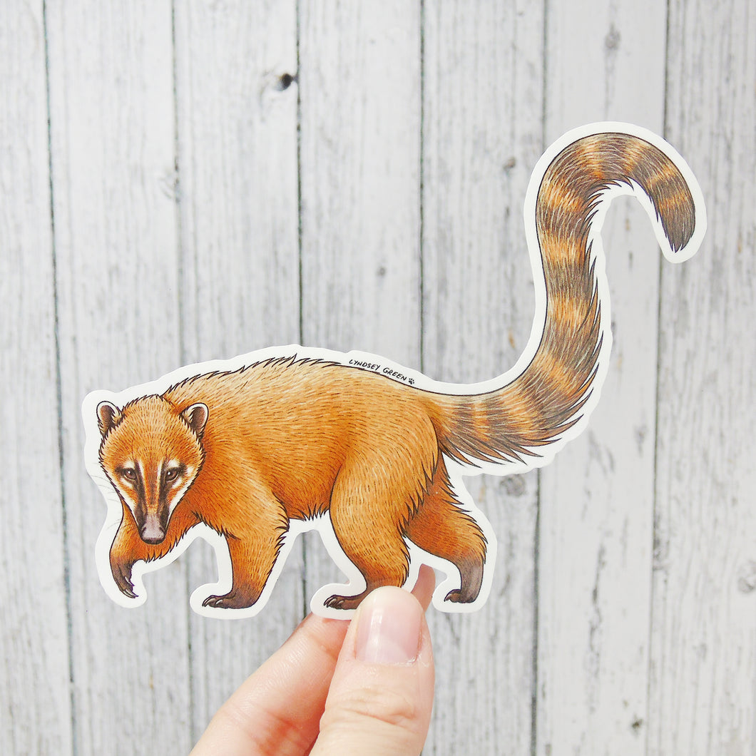Coati Vinyl Sticker