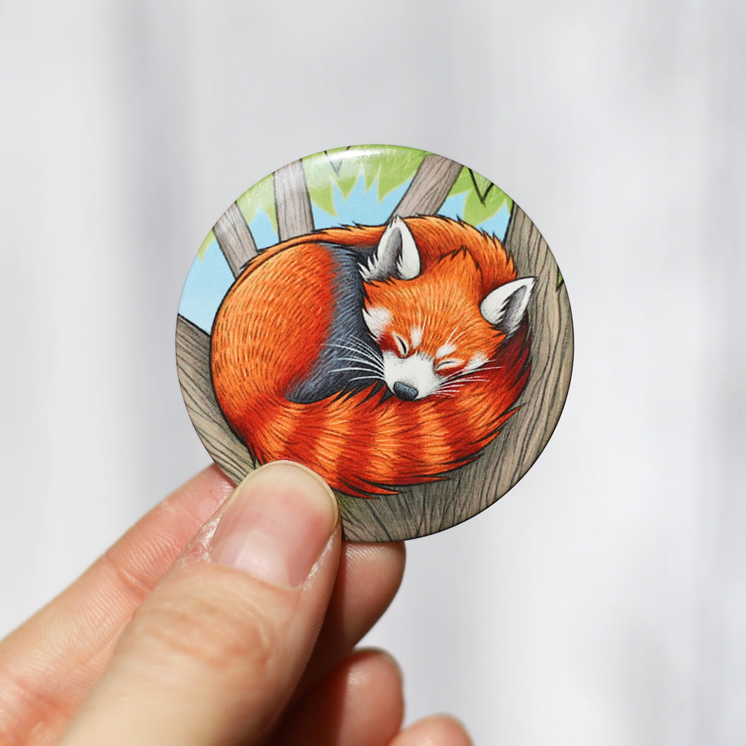 Curled Red Panda Badge