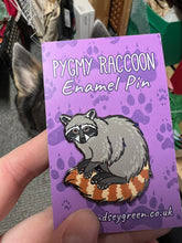 Load image into Gallery viewer, *Seconds Sale* Pygmy Raccoon Hard Enamel Pin
