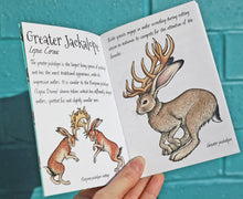 Load image into Gallery viewer, Jackalopia ~ The pocket guide to jackalopes of the world
