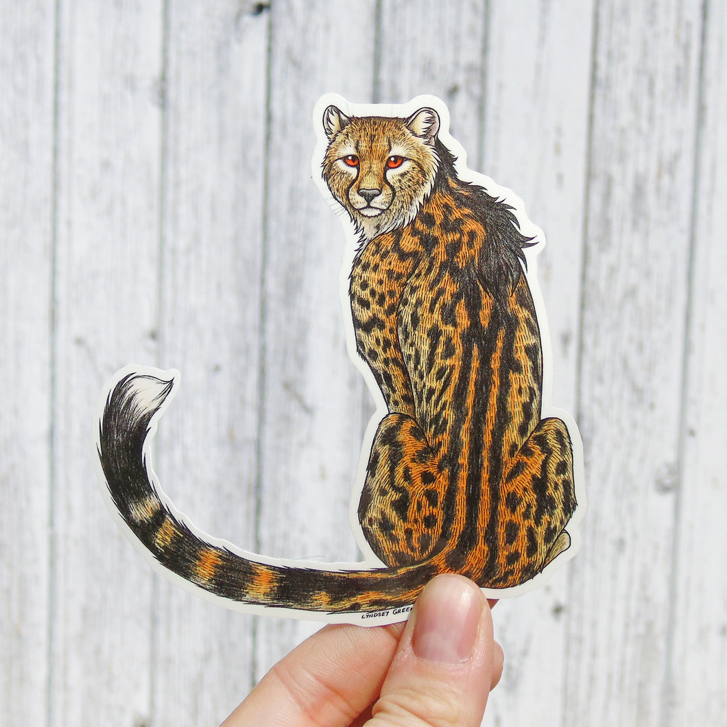 King Cheetah Vinyl Sticker