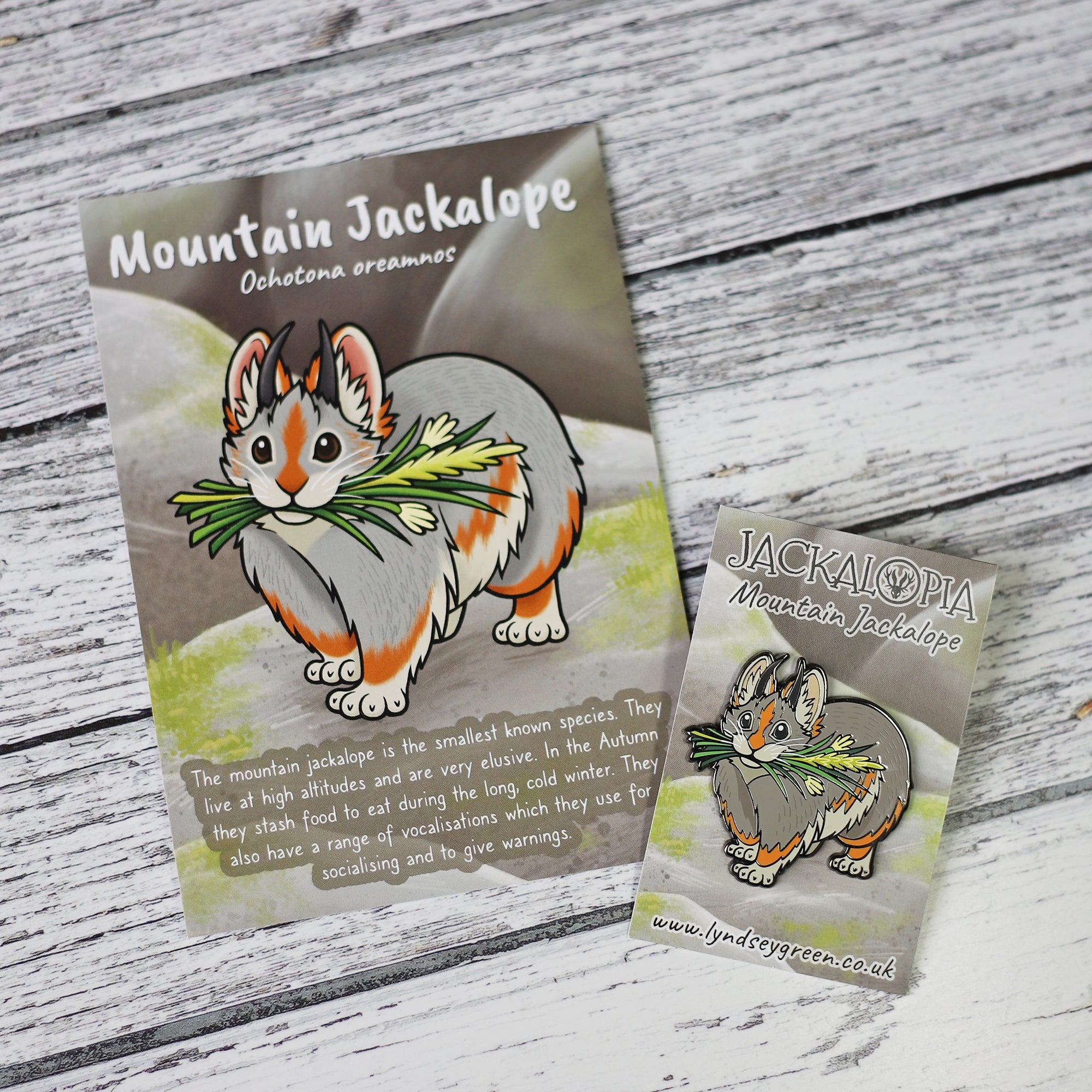 Mountain Jackalope Hard Enamel Pin – Lyndsey Green Illustration