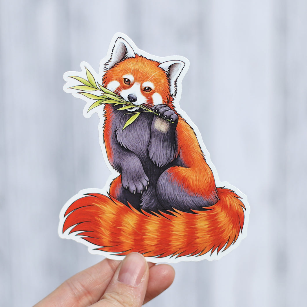 Red Panda Vinyl Sticker