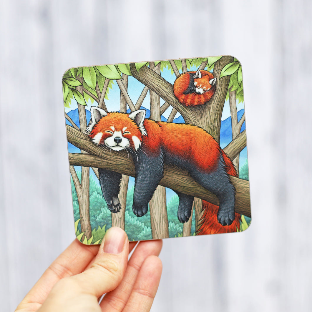 Red Pandas Coaster