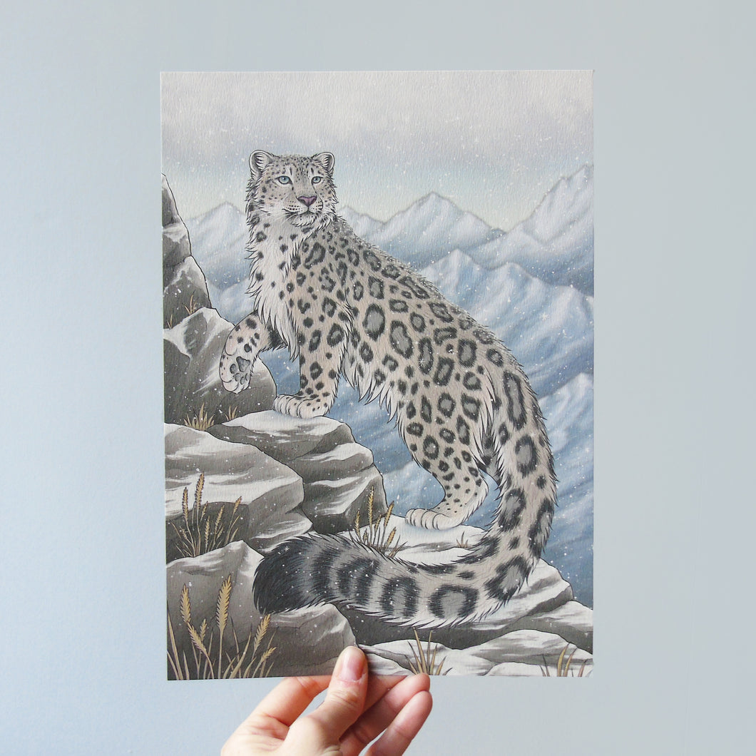 Snow Leopard Illustration A4 Print