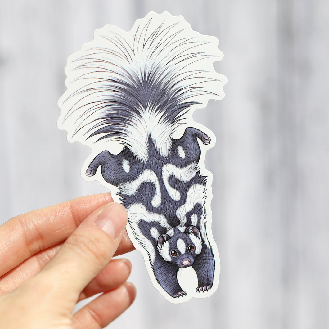 Spotted Skunk Vinyl Sticker