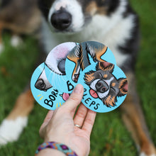 Load image into Gallery viewer, Border Collie Sticker Set
