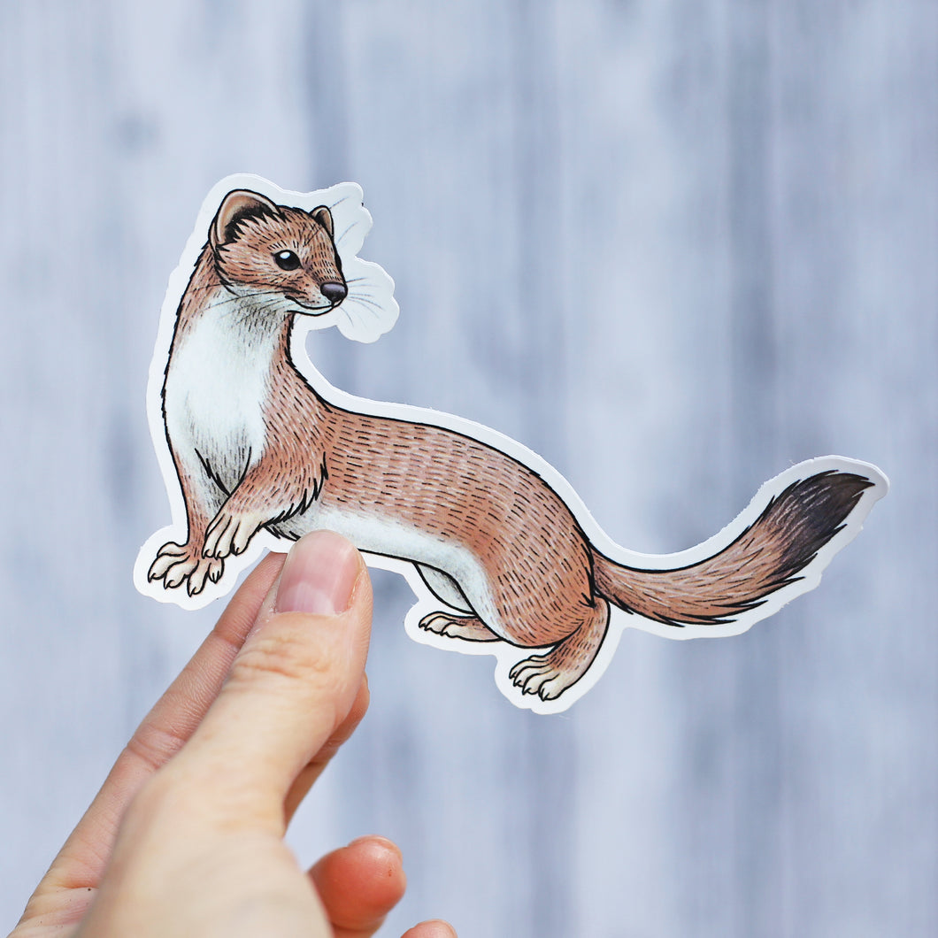 Stoat Vinyl Sticker