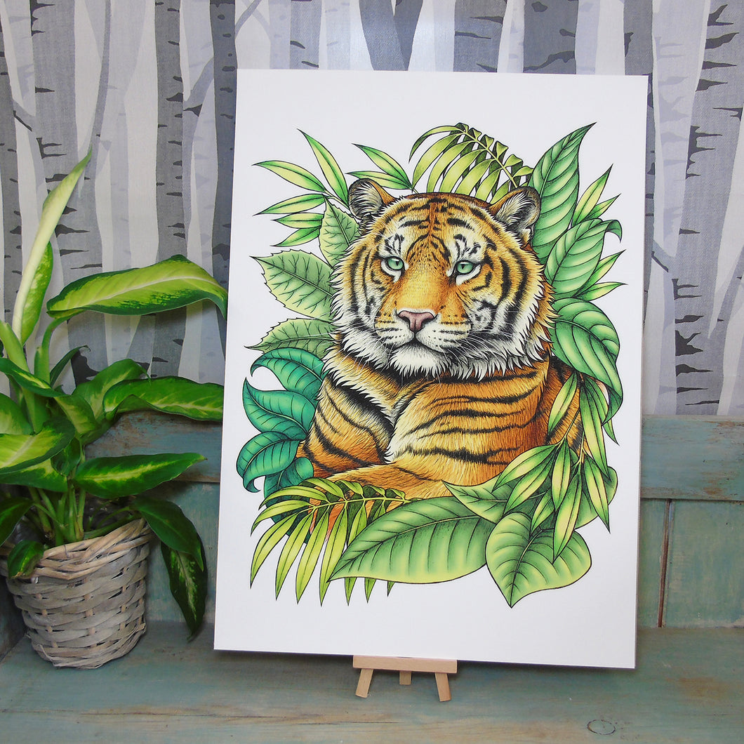 Sumatran Tiger A3 Giclée Print