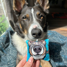 Load image into Gallery viewer, Squeaky Snoots ~ Border Collie Plush Pillow Keyring
