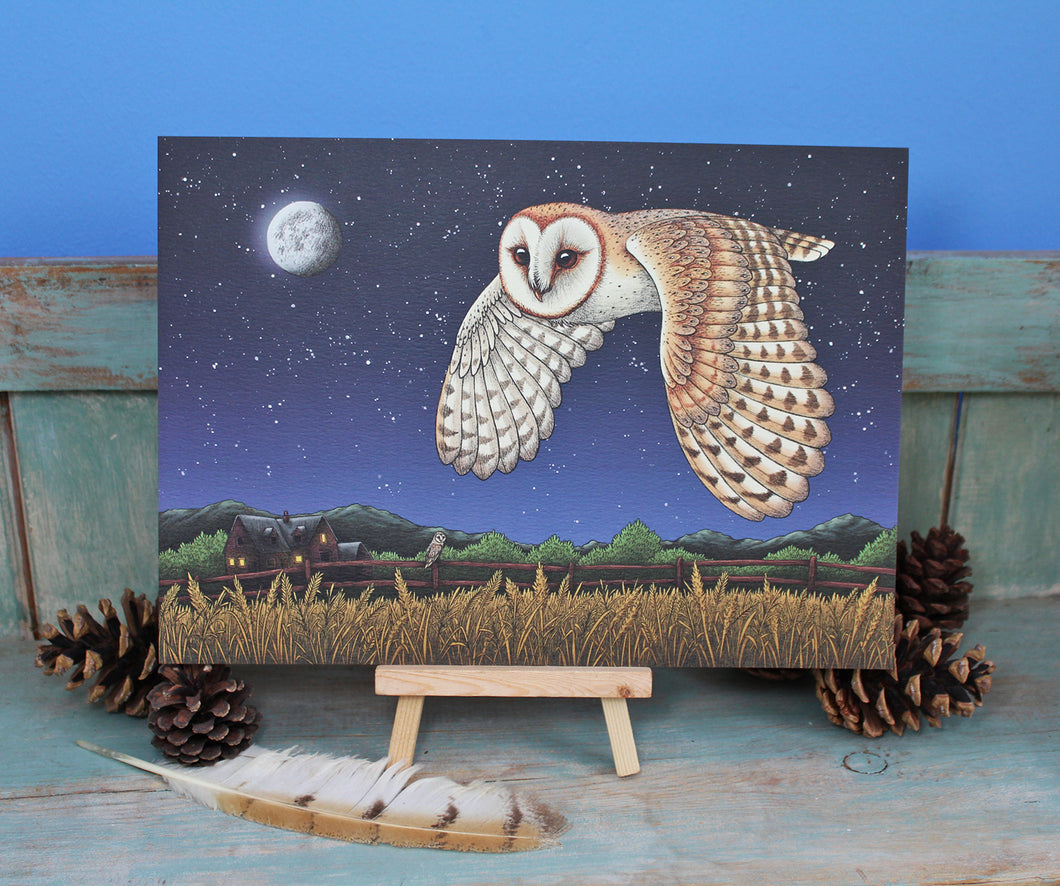 Barn Owl Illustration A3 Print