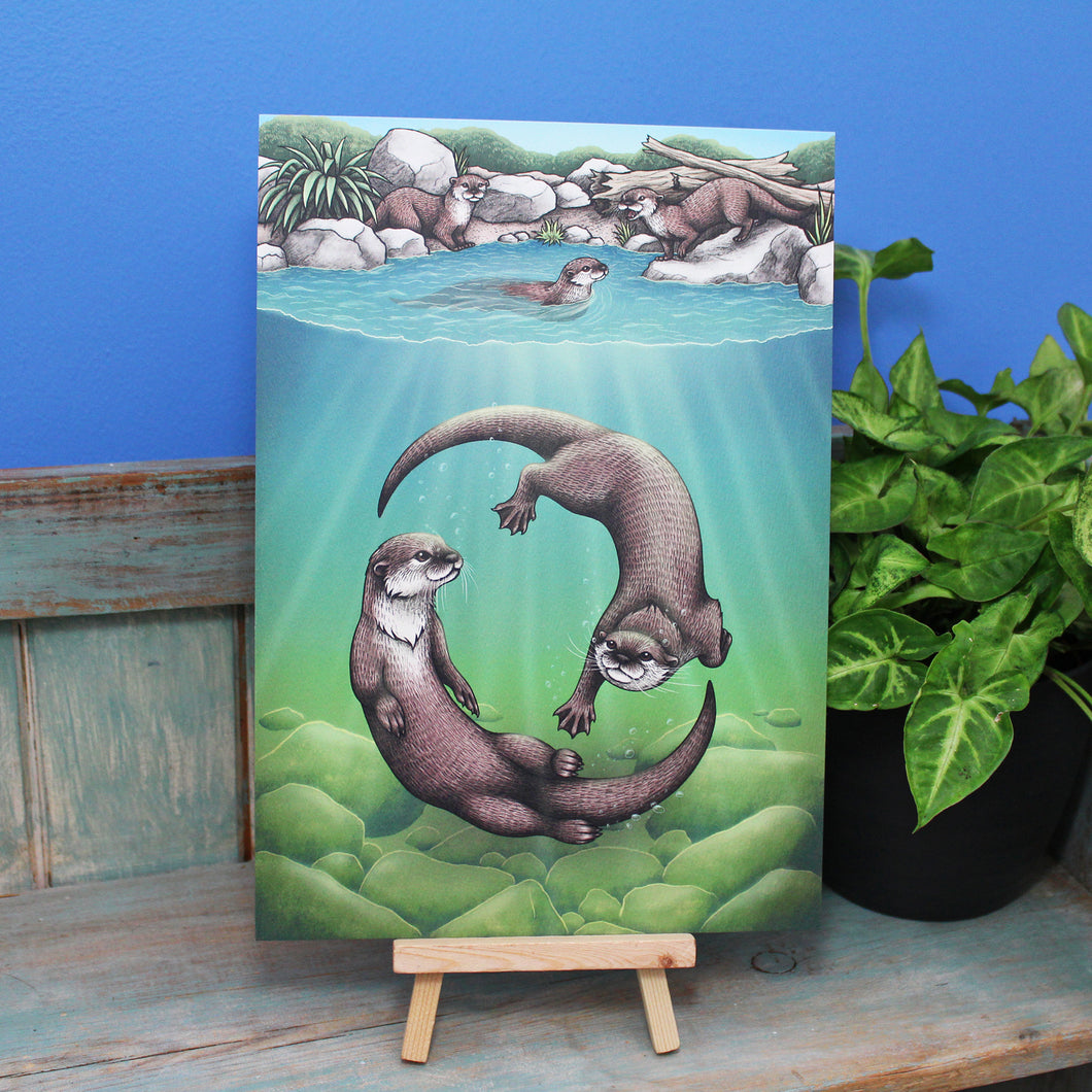 Asian Small-Clawed Otters A4 Print