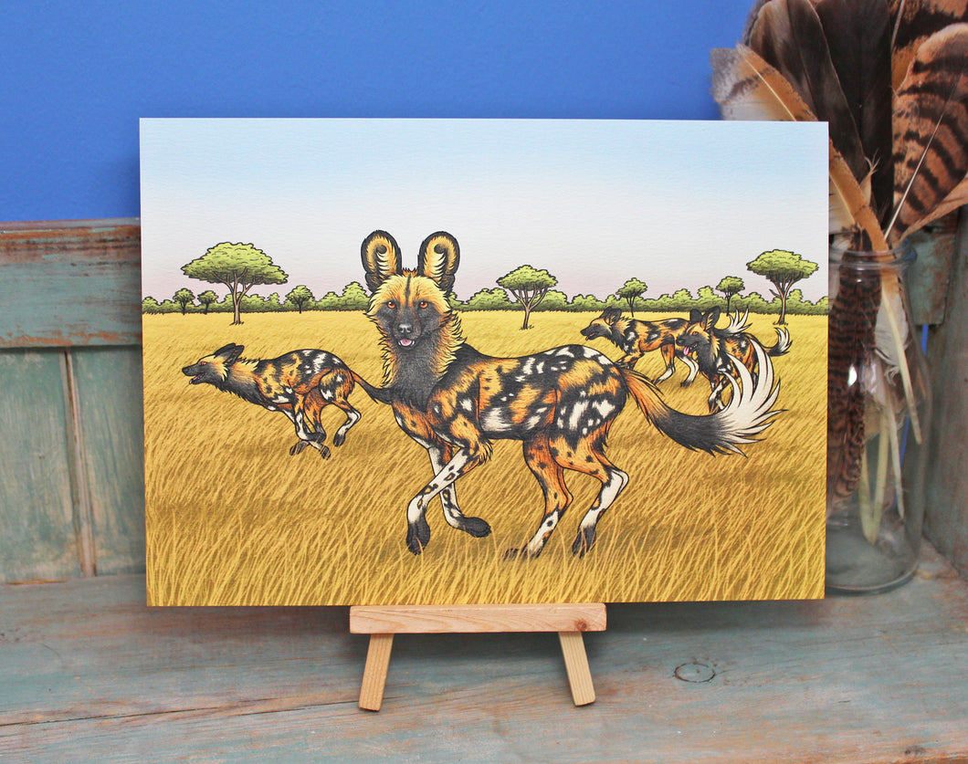African Painted Dogs Illustration A3 Print