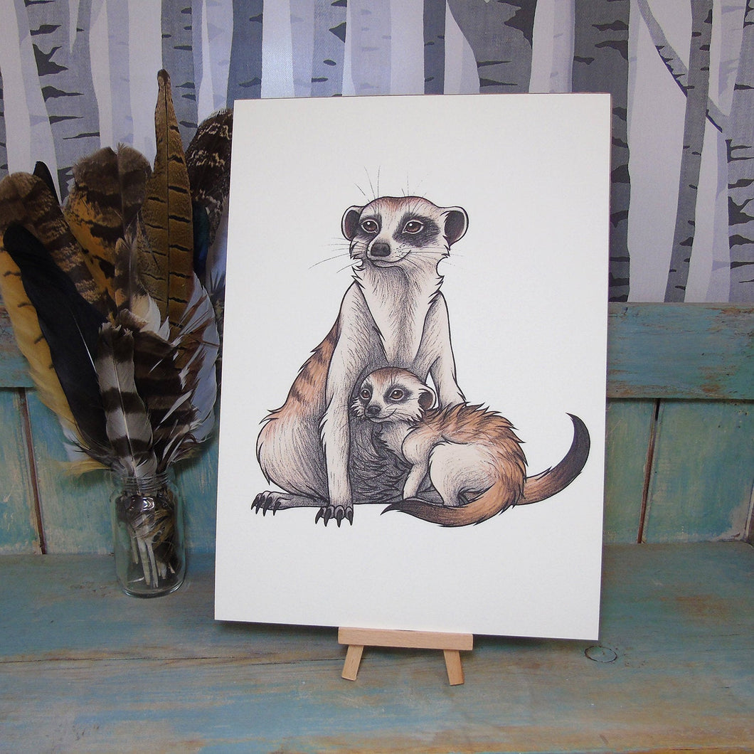 Meerkats Illustration A4 Print