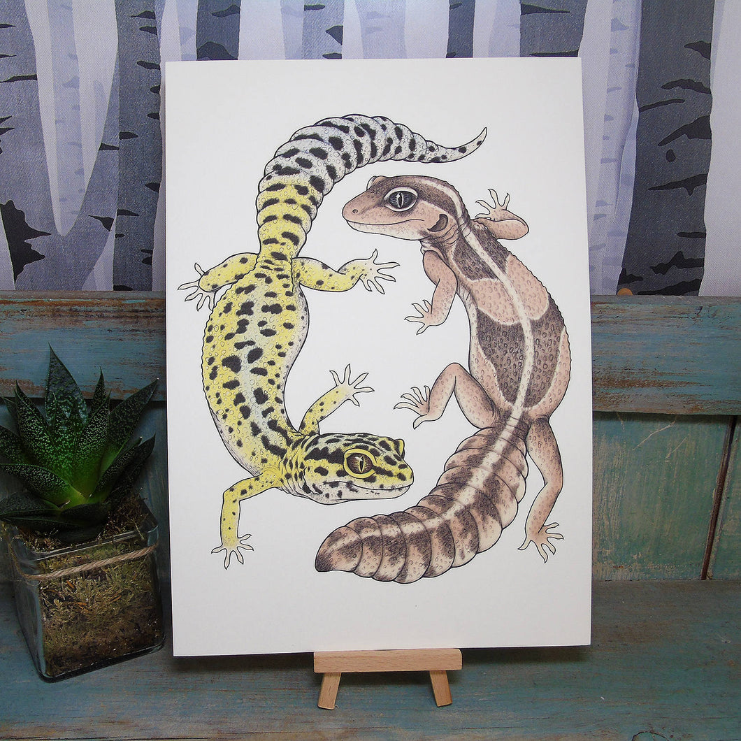 Geckos Illustration A4 Print