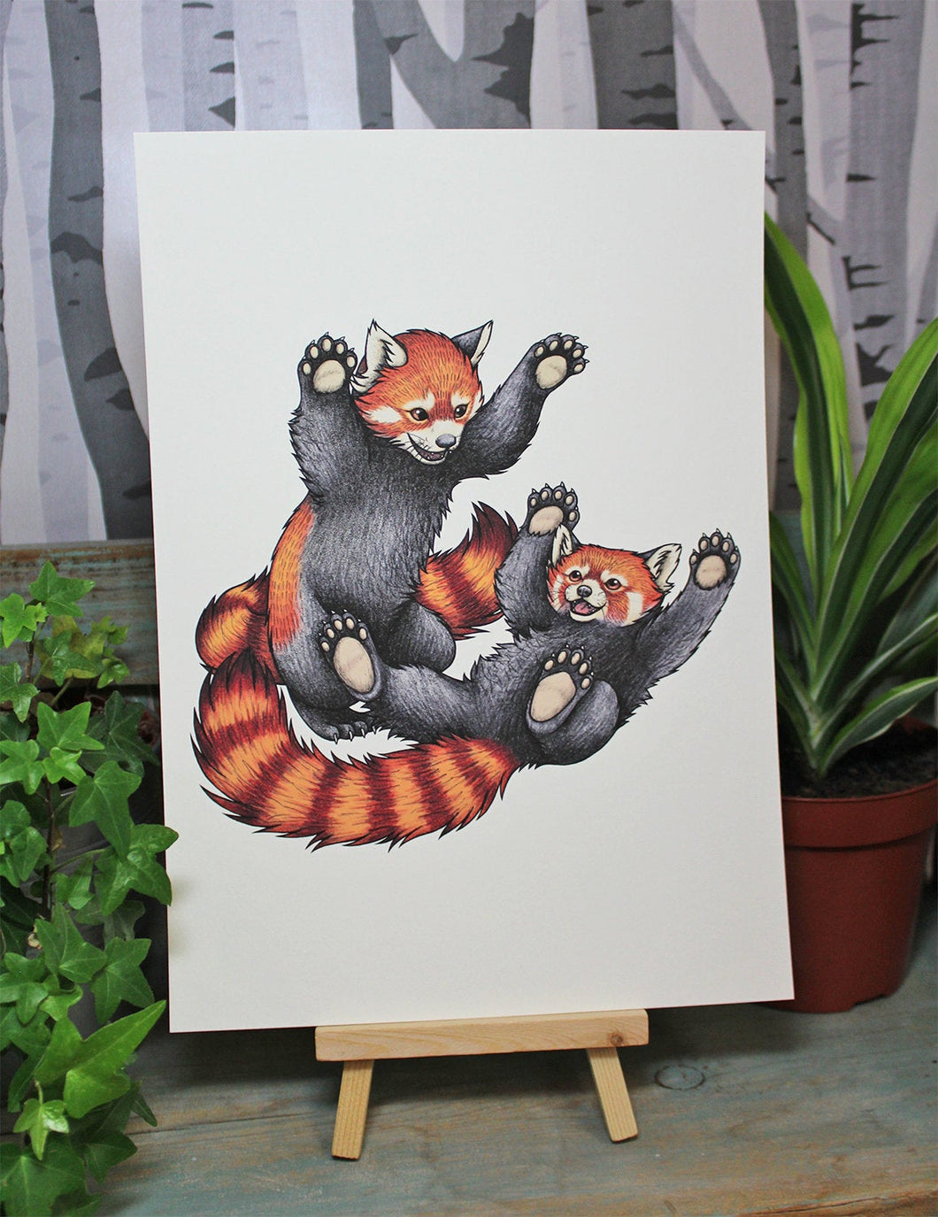 Red Pandas Playing Illustration A4 Print