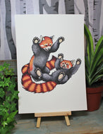 Red Pandas Playing Illustration A4 Print