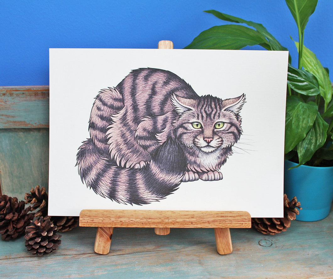 Scottish Wildcat Illustration A4 Print