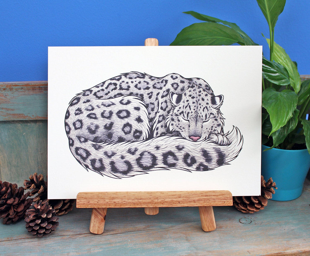 Snow Leopard Illustration A4 Print