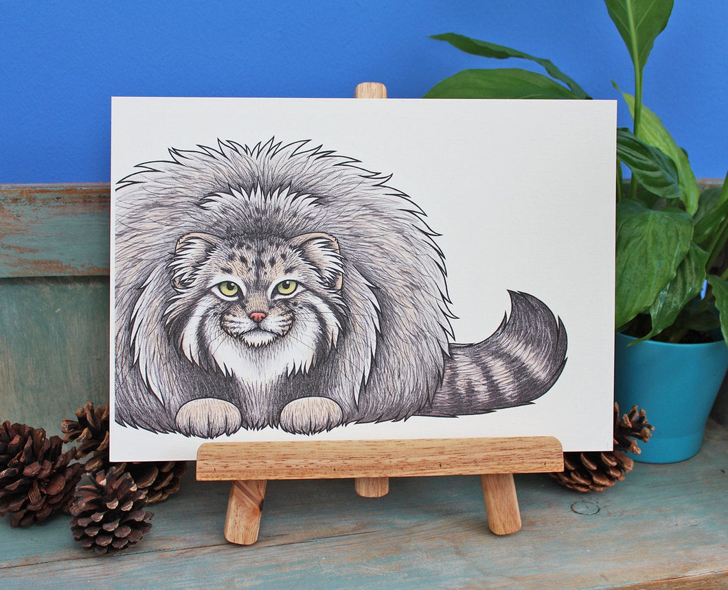 Pallas's Cat Illustration A4 Print