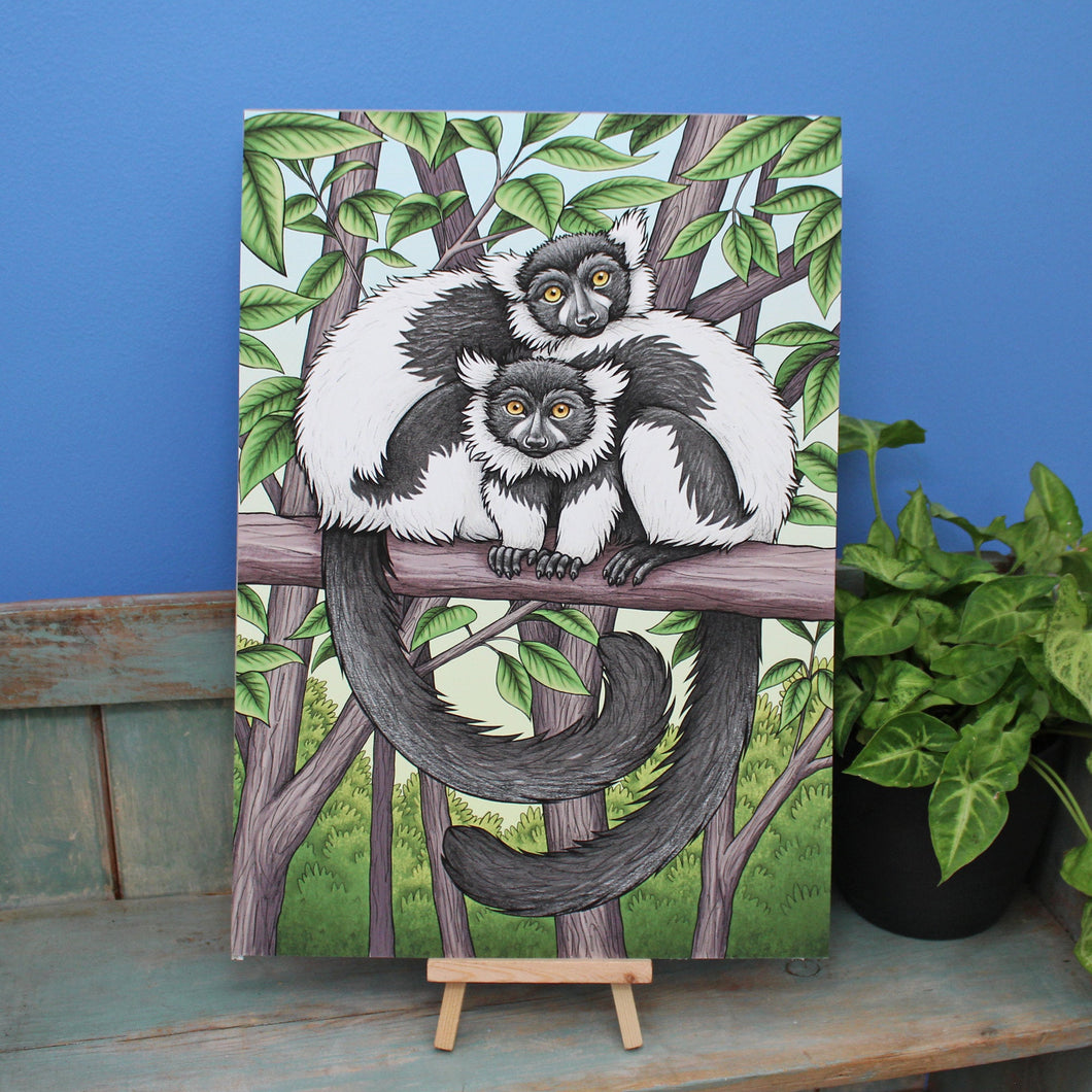 Black & White Ruffed Lemurs A3 Giclée Print