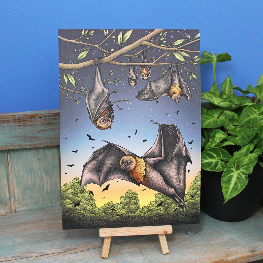 Rodrigues Fruit Bats Illustration A4 Print