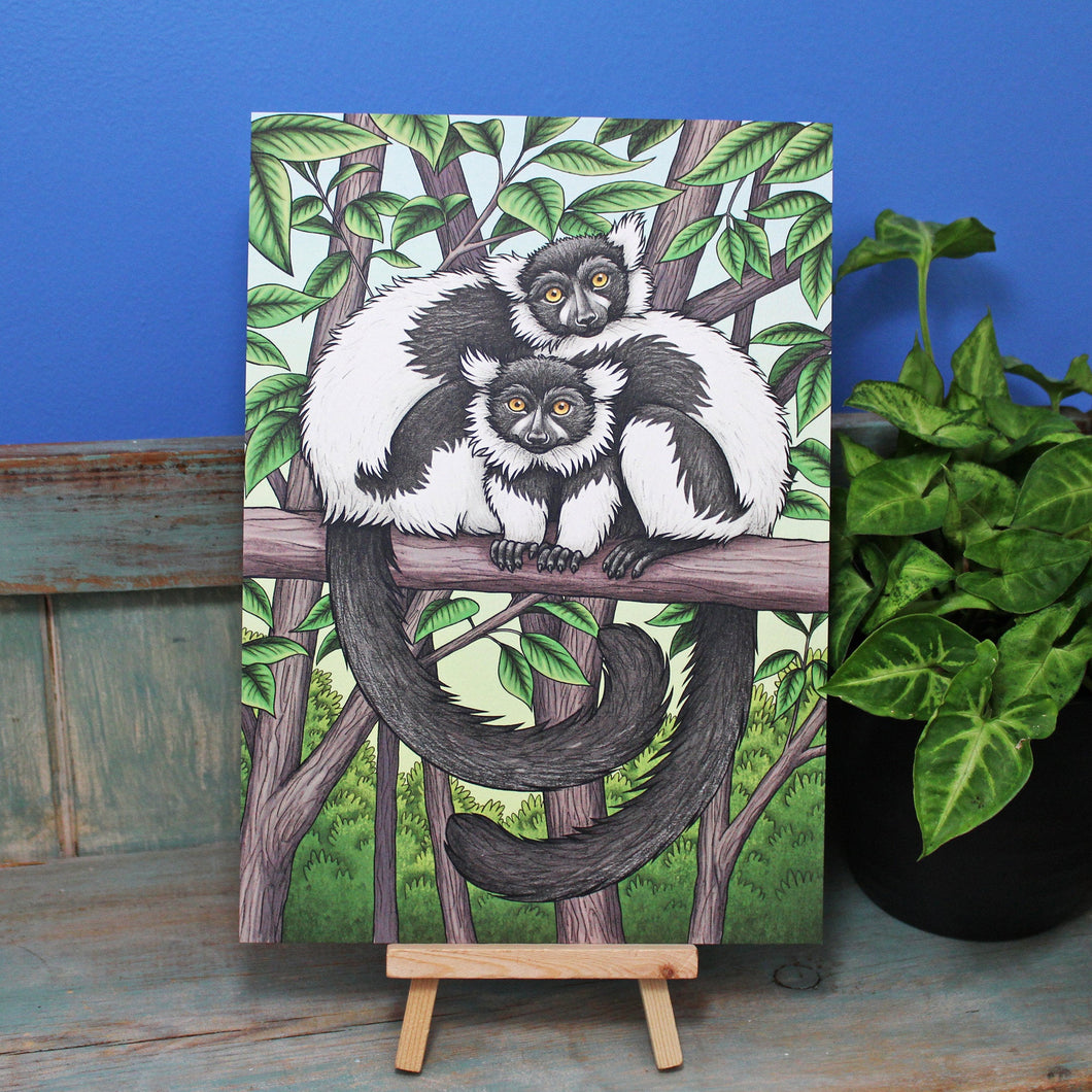 Black & White Ruffed Lemurs Illustration A4 Print