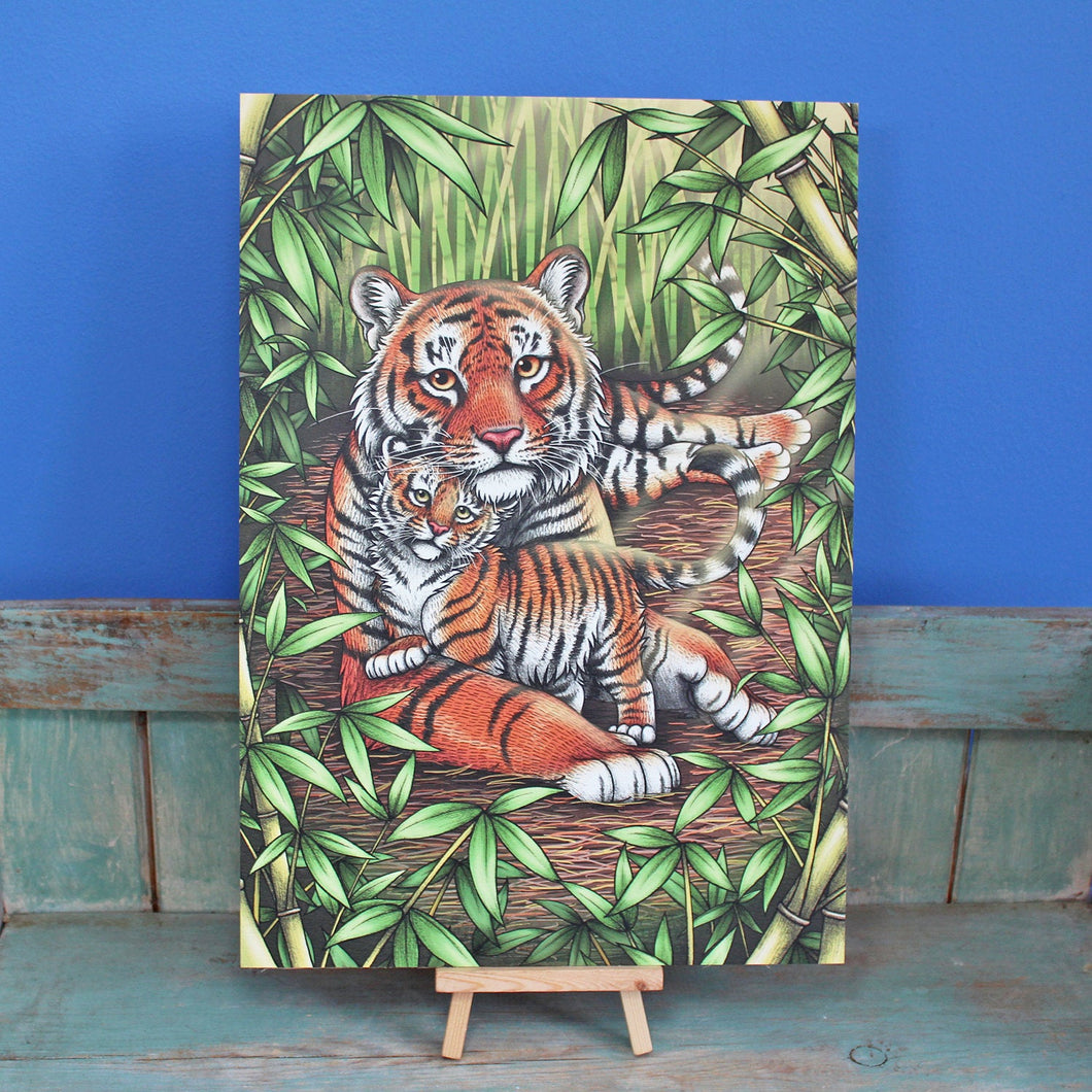 Sumatran Tigers Illustration A3 Print