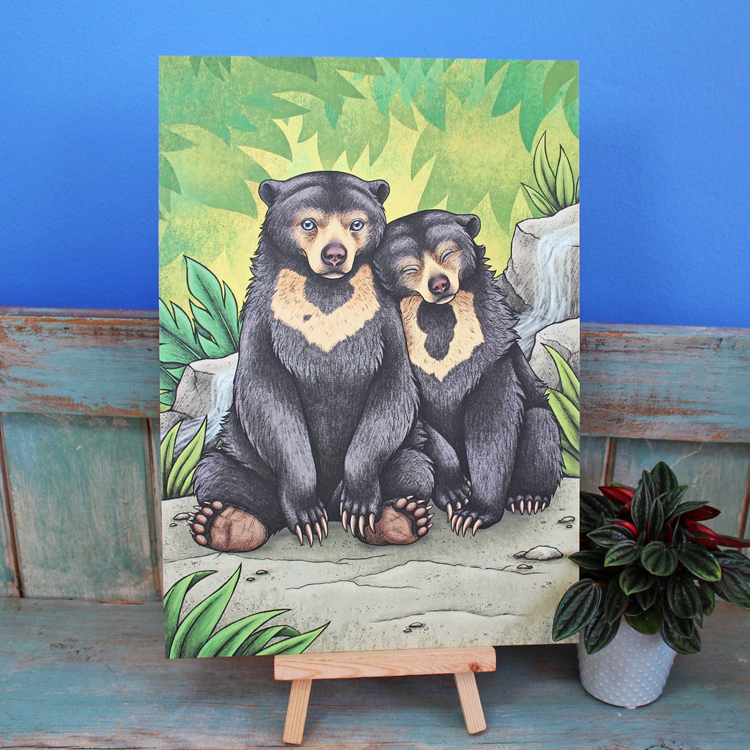 Sun Bears Illustration -A4 Print