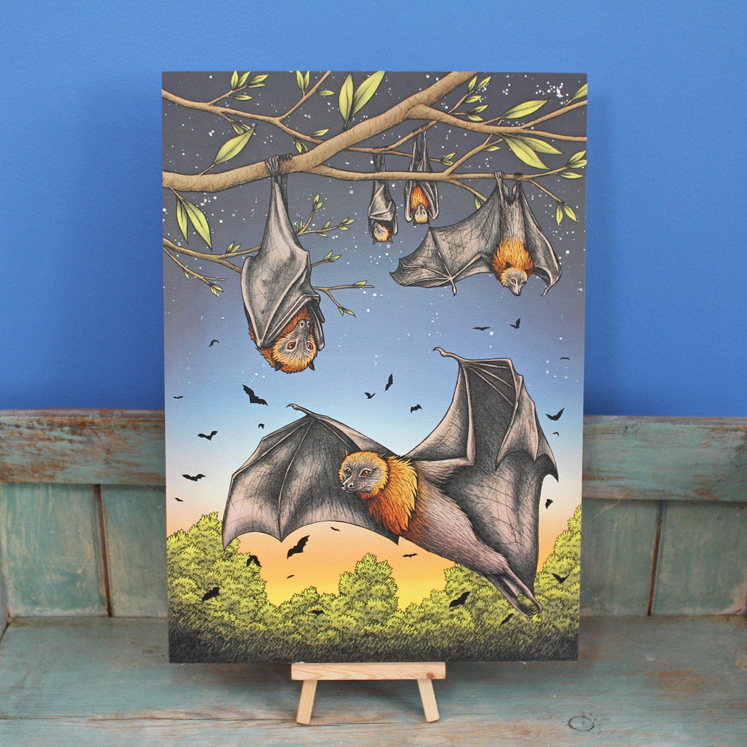 Rodrigues Fruit Bats Illustration A3 Print