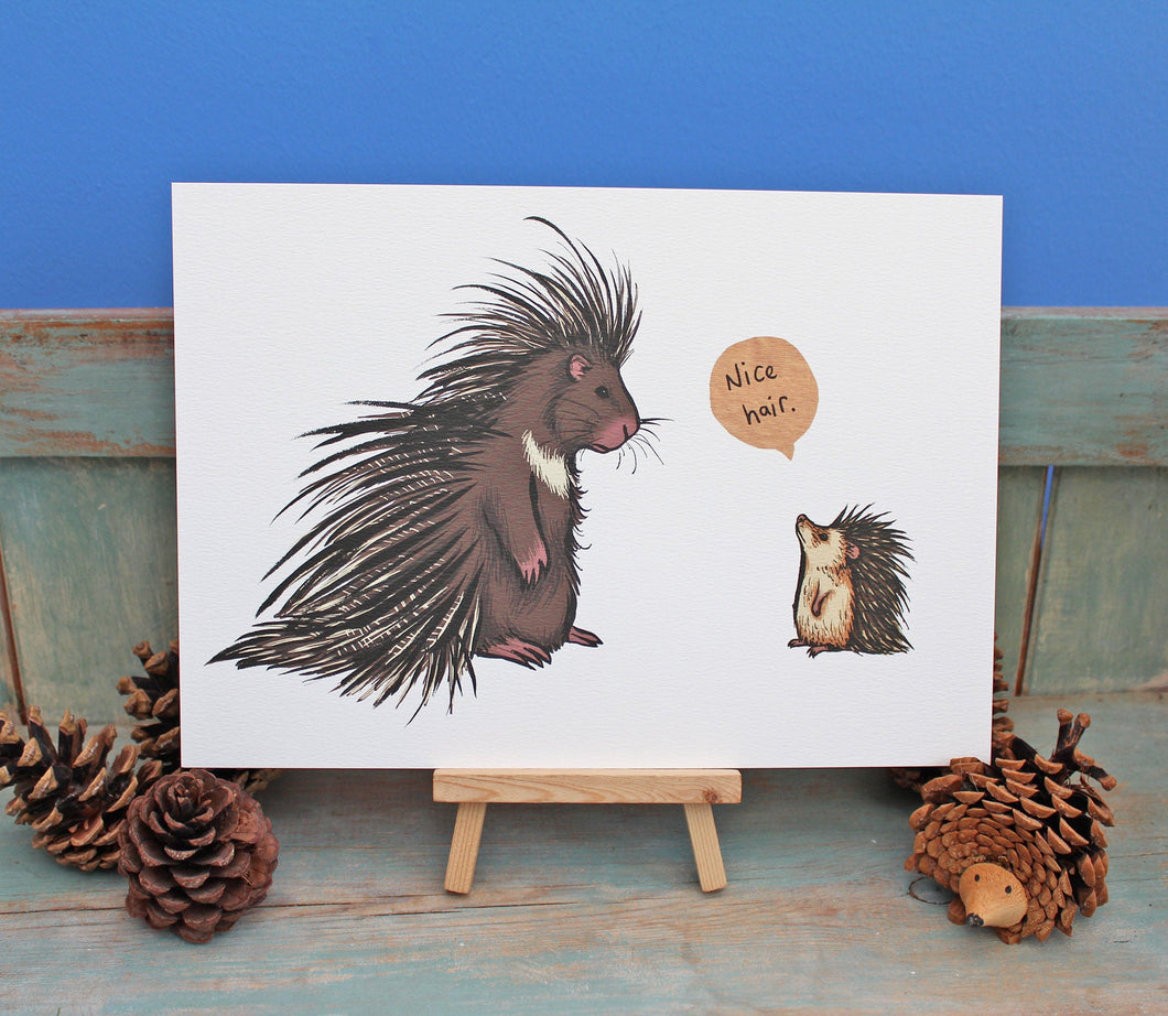 Nice Hair ~ Porcupine & Hedgehog Illustration A4 Print