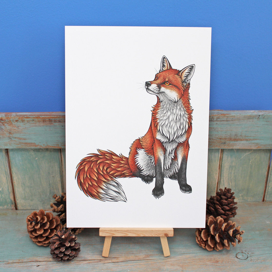 Red Fox Illustration A3 Print