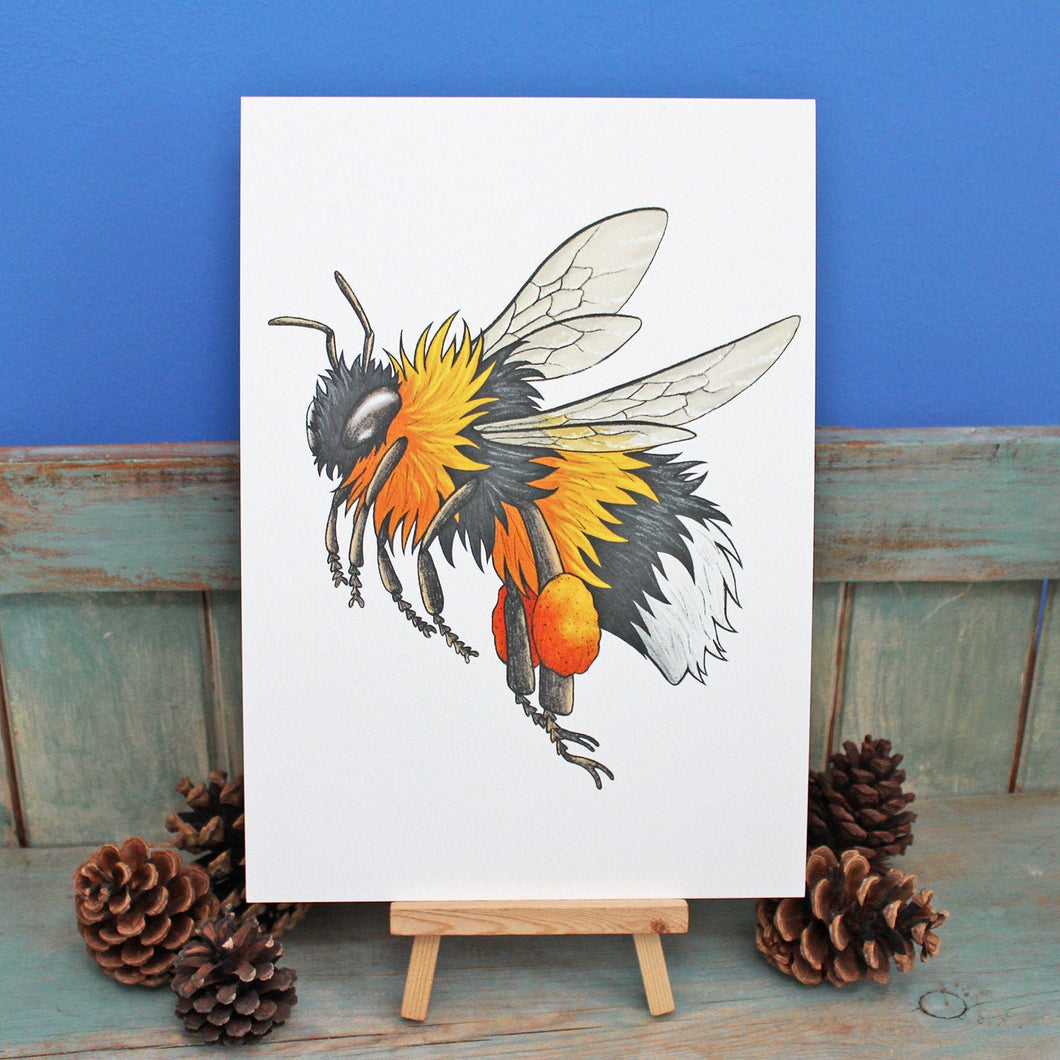 Bumblebee Illustration A3 Print