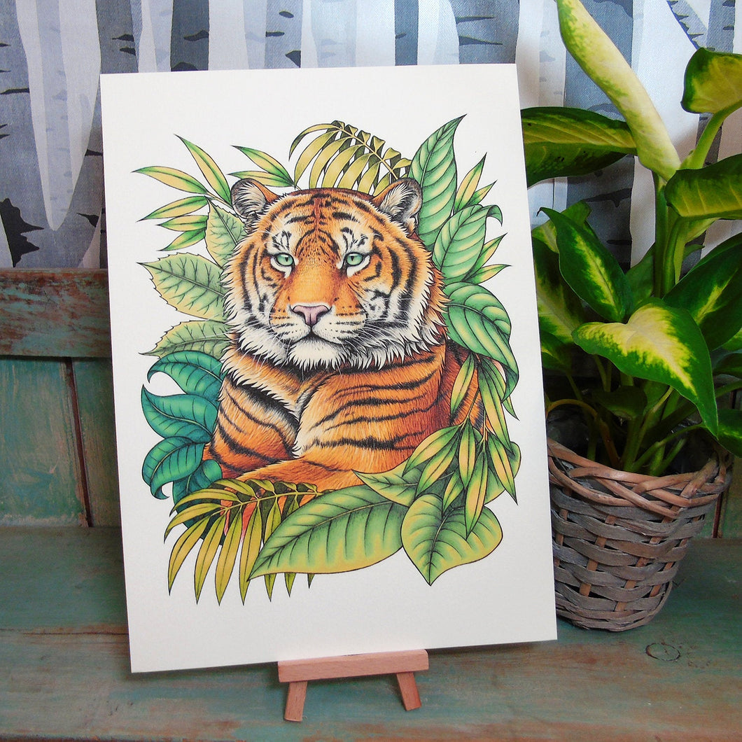 Sumatran Tiger Illustration A4 Print