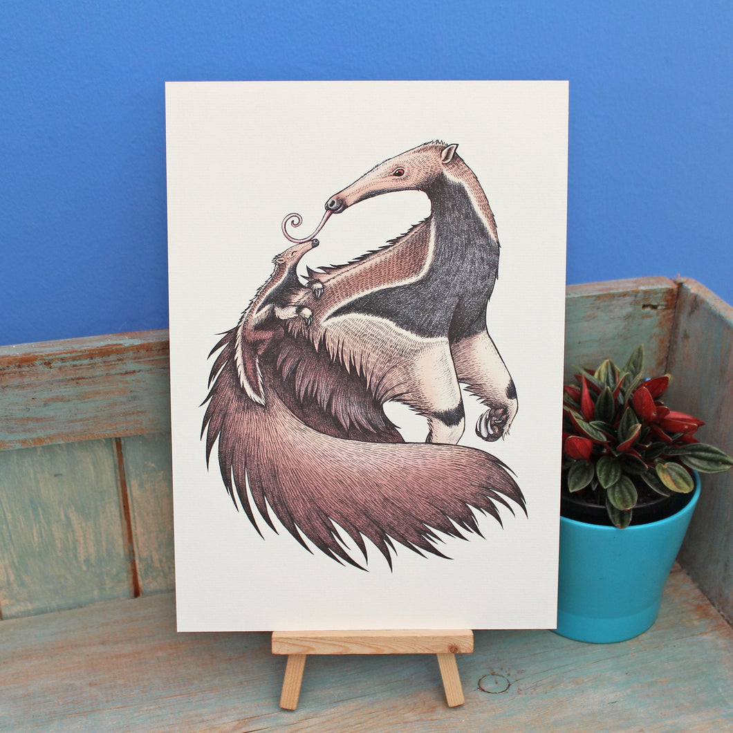 Giant Anteater & Baby Illustration A4 Print