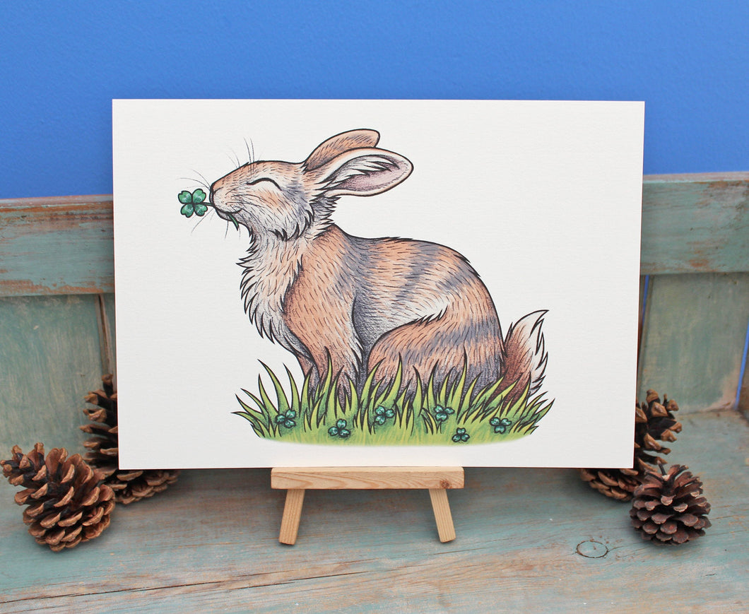 Renly the Rabbit Illustration A4 Print