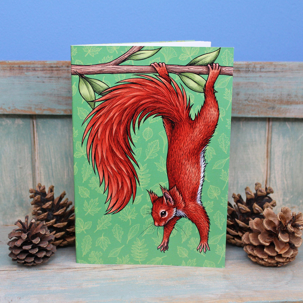 Red Squirrel Illustration Notebook